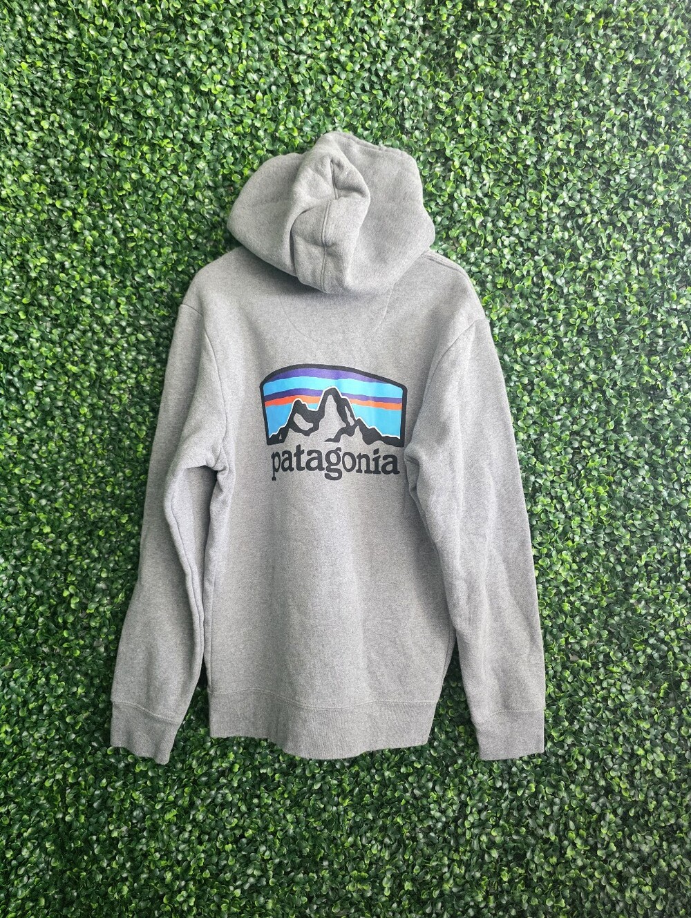 Patagonia Women's Gray Hoodies Size M